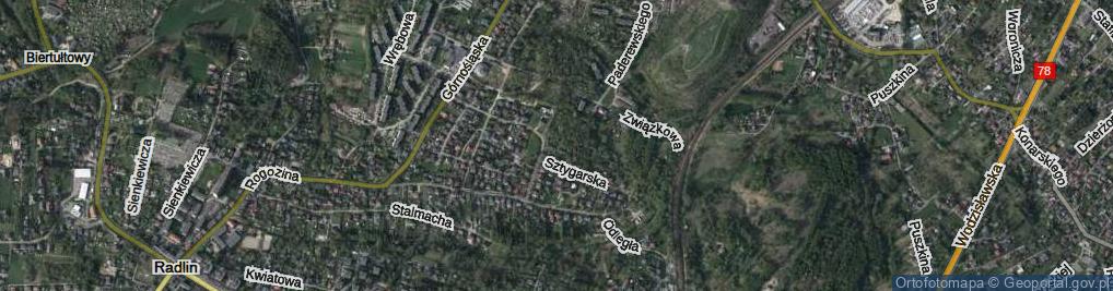 Zdjęcie satelitarne Górniczego Stanu ul.