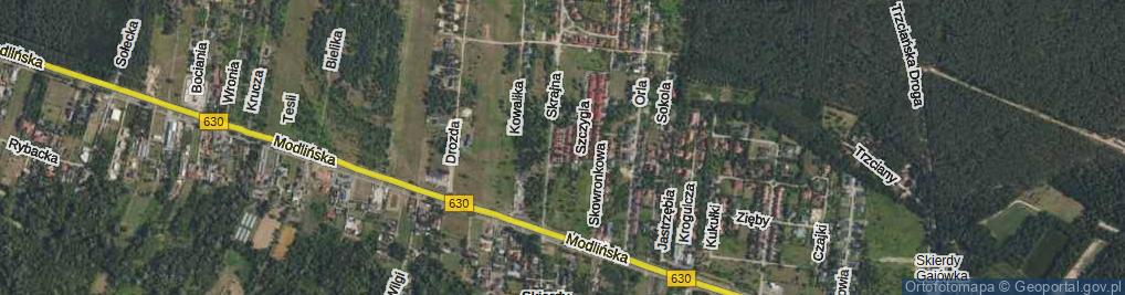 Zdjęcie satelitarne Gołębia ul.