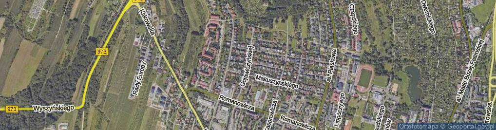 Zdjęcie satelitarne Gojawiczyńskiej Poli ul.