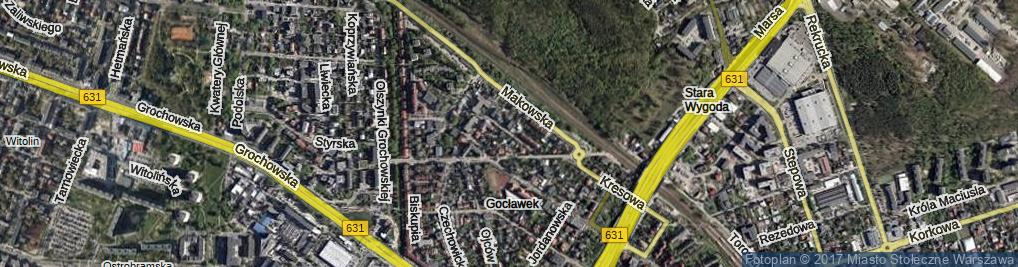 Zdjęcie satelitarne Gorzelnicza ul.