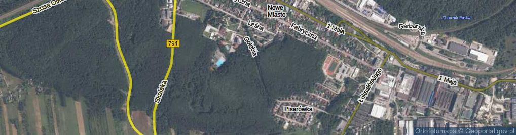 Zdjęcie satelitarne Gołębia ul.