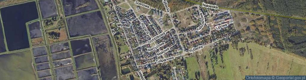 Zdjęcie satelitarne Goździkowa ul.