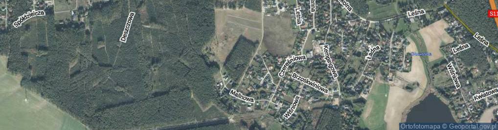 Zdjęcie satelitarne Gruszkowa ul.