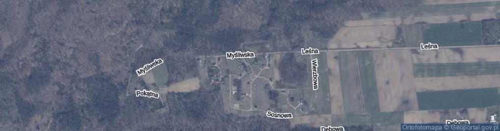 Zdjęcie satelitarne Grzybowa ul.