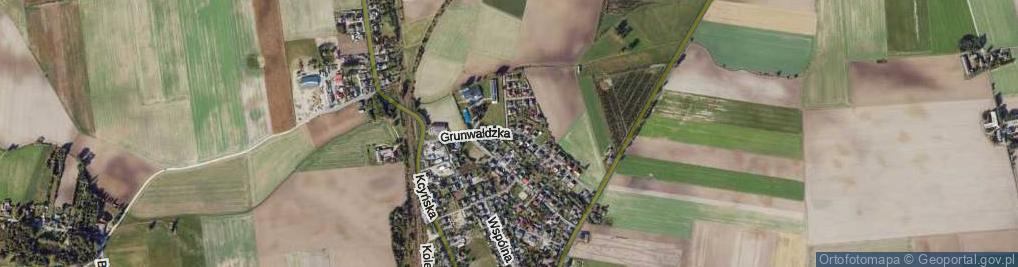 Zdjęcie satelitarne Grunwaldzka ul.