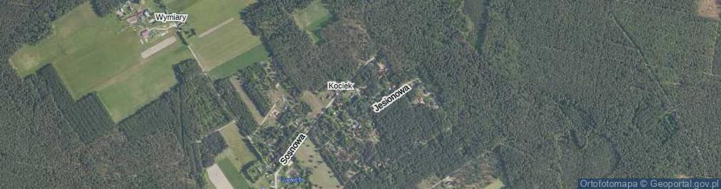 Zdjęcie satelitarne Grzybowa ul.