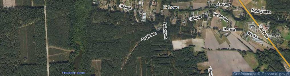 Zdjęcie satelitarne Grzybowa ul.