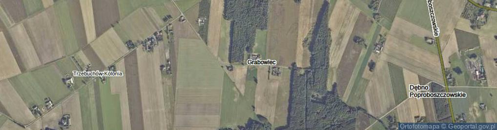 Zdjęcie satelitarne Grabowiec ul.