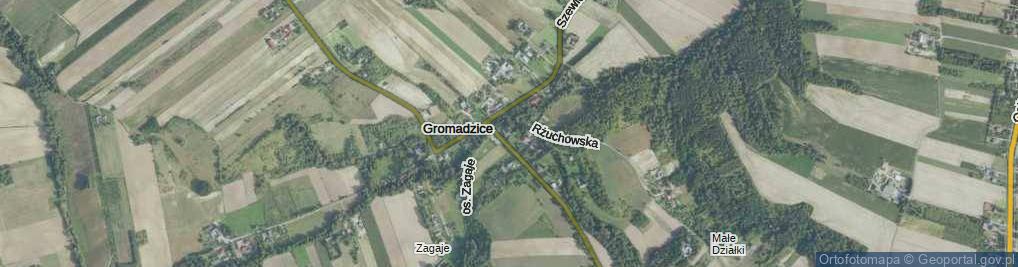 Zdjęcie satelitarne Gromadzice ul.