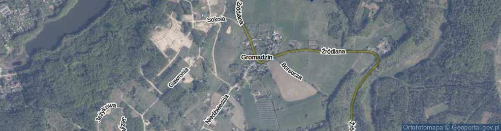 Zdjęcie satelitarne Gromadzin ul.