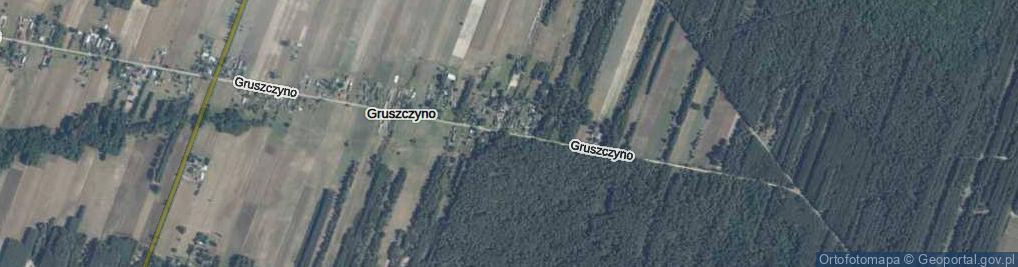 Zdjęcie satelitarne Gruszczyno ul.