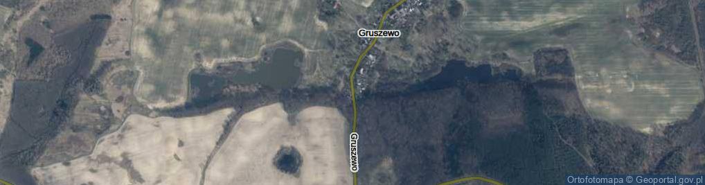 Zdjęcie satelitarne Gruszewo ul.