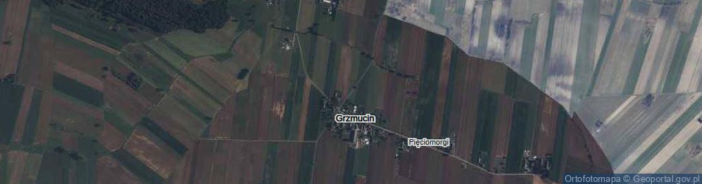 Zdjęcie satelitarne Grzmucin ul.
