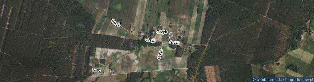 Zdjęcie satelitarne Grzyb ul.
