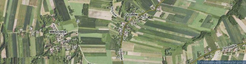 Zdjęcie satelitarne Grzybów ul.