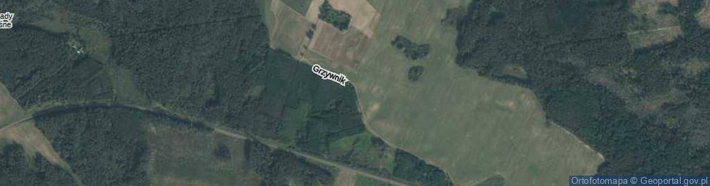 Zdjęcie satelitarne Grzywnik ul.
