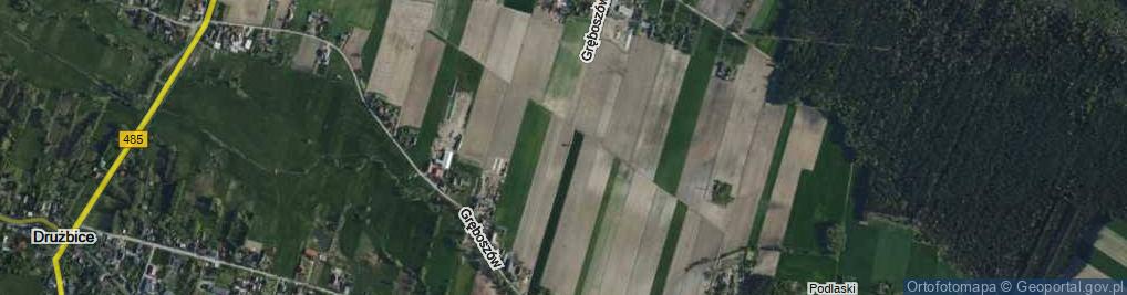 Zdjęcie satelitarne Gręboszów ul.