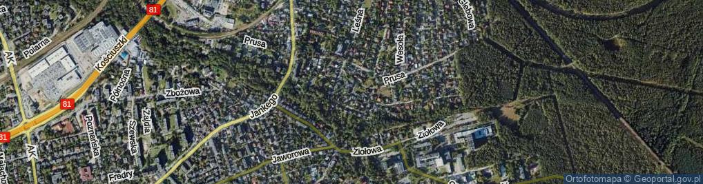Zdjęcie satelitarne Grzybowa ul.