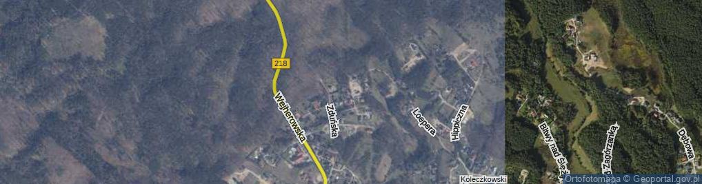 Zdjęcie satelitarne Grzybowa ul.