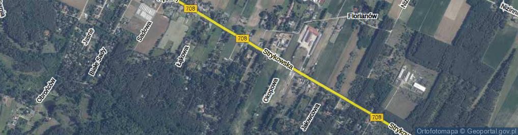 Zdjęcie satelitarne Grzybowa ul.