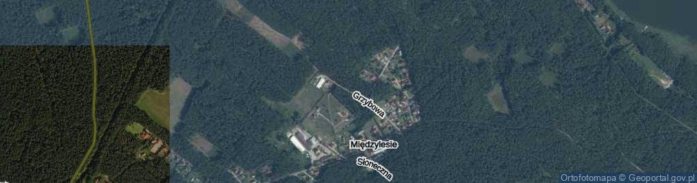 Zdjęcie satelitarne Grzybowa ul.