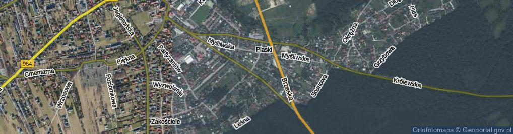 Zdjęcie satelitarne Grota-Roweckiego Stefana, gen. ul.