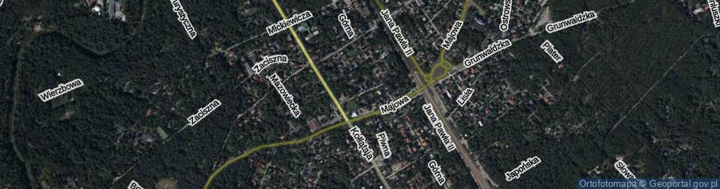 Zdjęcie satelitarne Grzybowa ul.