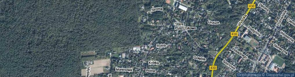 Zdjęcie satelitarne Grzybowa ul.