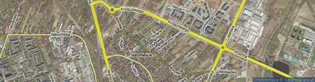 Zdjęcie satelitarne Grzybowa ul.