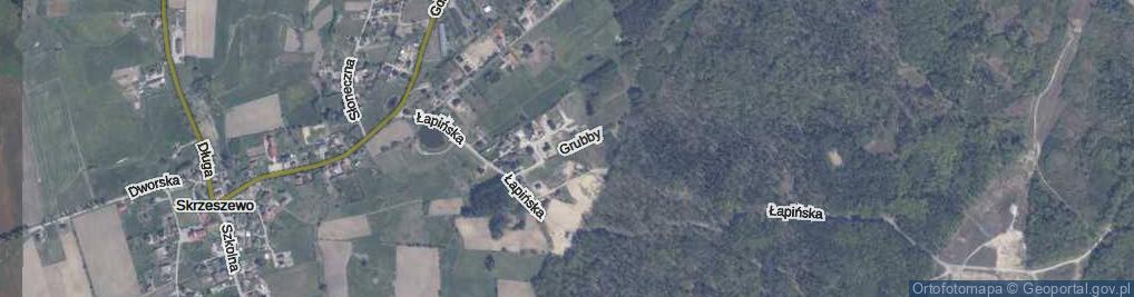 Zdjęcie satelitarne Grubby Andrzeja ul.