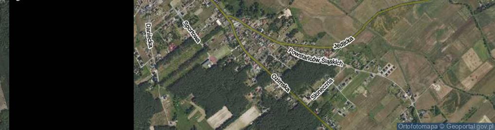 Zdjęcie satelitarne Grzybowa ul.