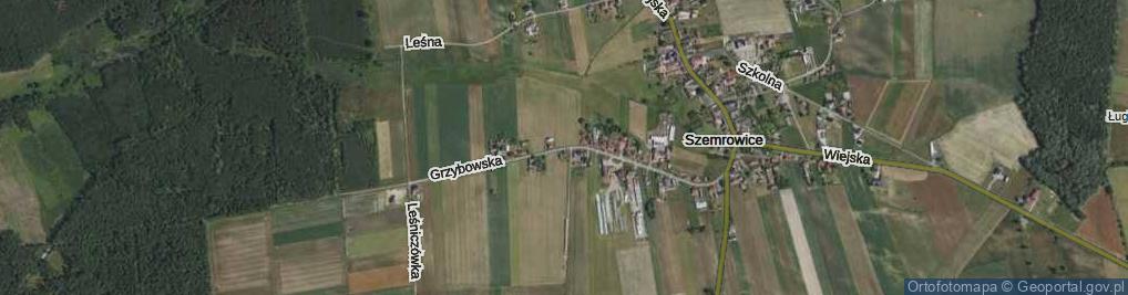 Zdjęcie satelitarne Grzybowska ul.