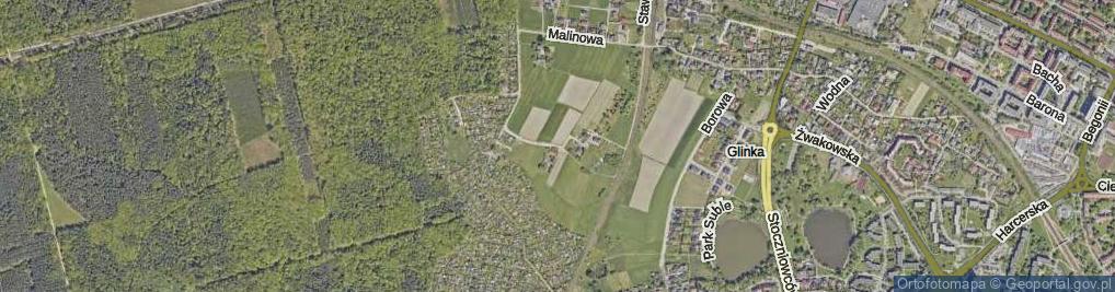 Zdjęcie satelitarne Grzybowa ul.