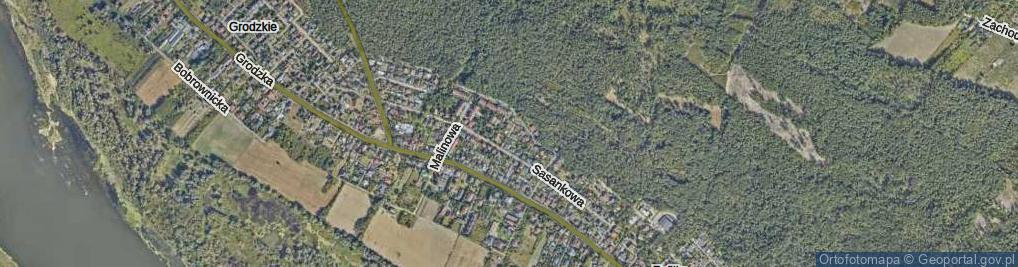 Zdjęcie satelitarne Grzybowa ul.