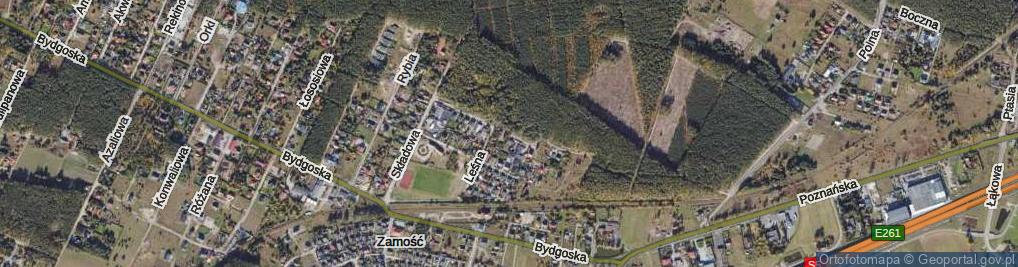 Zdjęcie satelitarne Grzybowa ul.