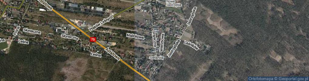 Zdjęcie satelitarne Graniczna ul.