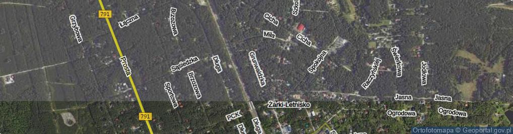 Zdjęcie satelitarne Grunwaldzka ul.