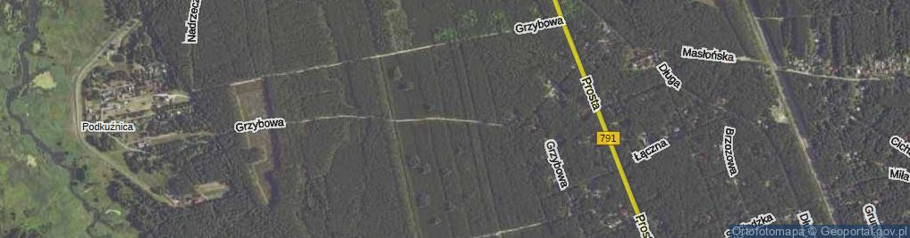 Zdjęcie satelitarne Grzybowa ul.