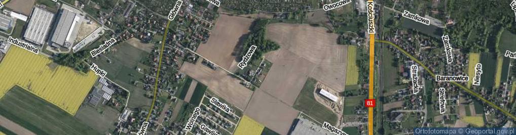 Zdjęcie satelitarne Grzybowa ul.