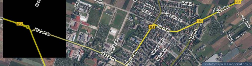 Zdjęcie satelitarne Grunwaldzka ul.
