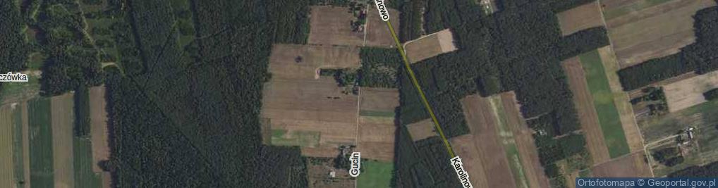 Zdjęcie satelitarne Gucin ul.