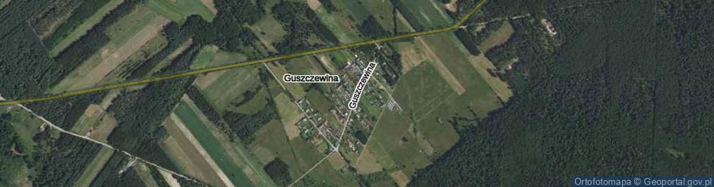 Zdjęcie satelitarne Guszczewina ul.