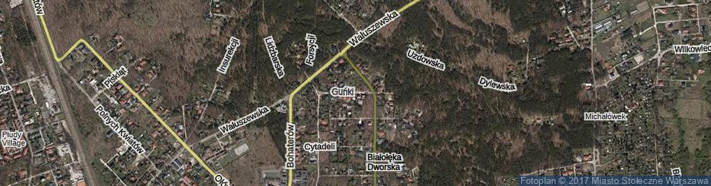 Zdjęcie satelitarne Guńki ul.