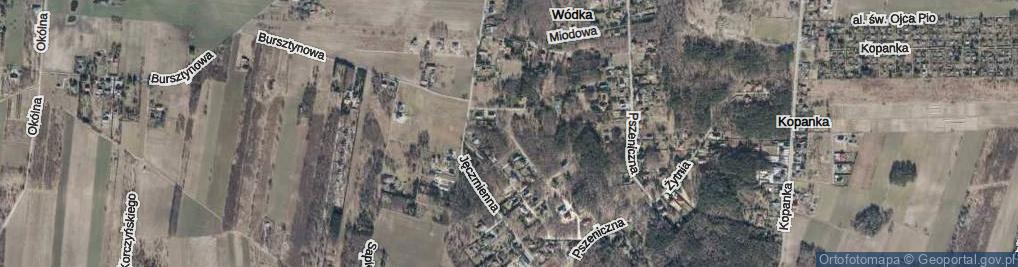 Zdjęcie satelitarne Gwiaździsta ul.