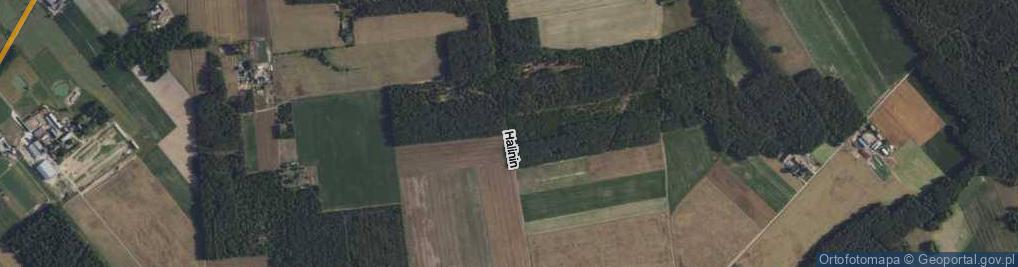 Zdjęcie satelitarne Halinin ul.