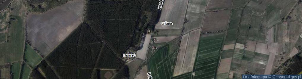 Zdjęcie satelitarne Haliniec ul.