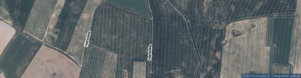 Zdjęcie satelitarne Hajnówka ul.