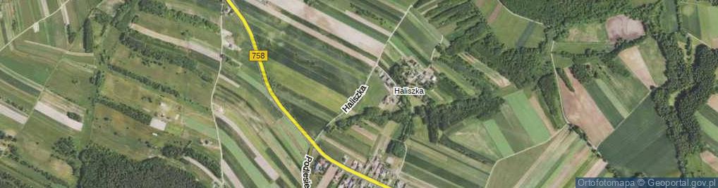 Zdjęcie satelitarne Haliszka ul.