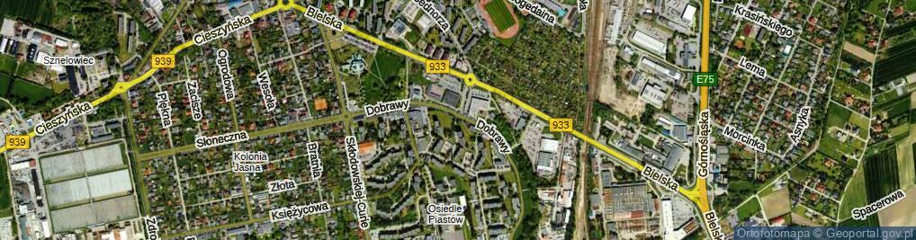 Zdjęcie satelitarne Henryka Brodatego ul.