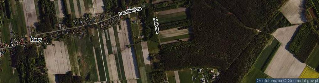 Zdjęcie satelitarne Herbowa ul.